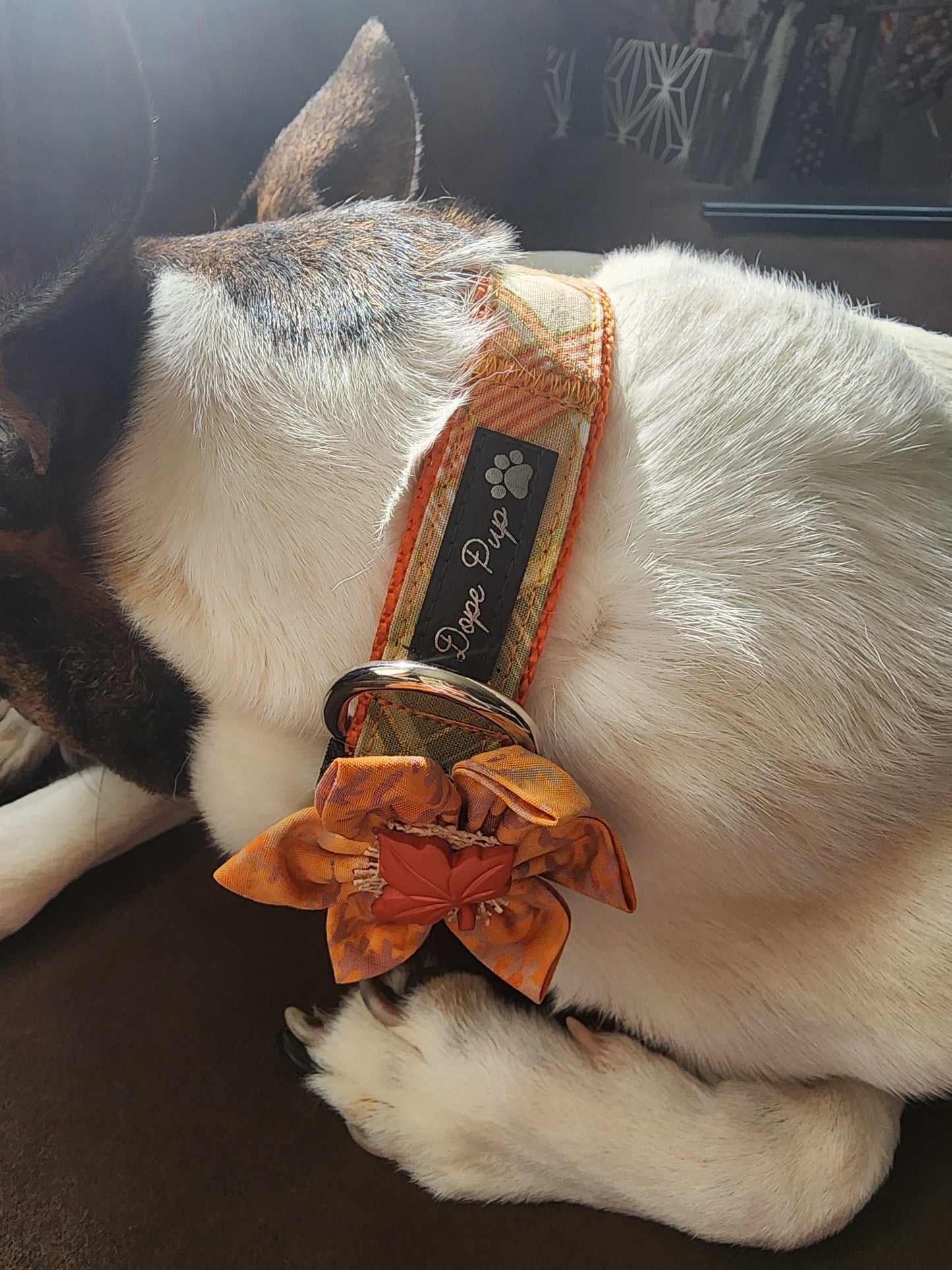 Fall Plaid Adjustable Pet Collar
