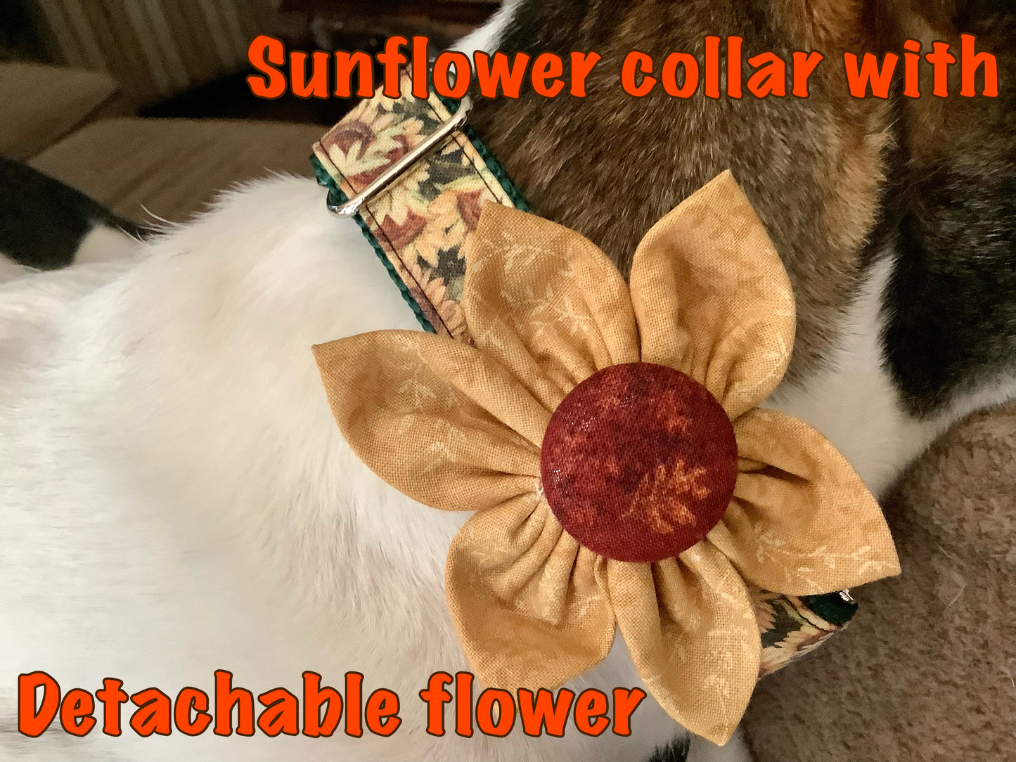 Adjustable Dog Collar with Sunflower for Fall