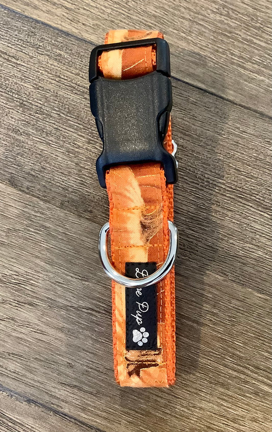 Dog Collar with Pumpkins