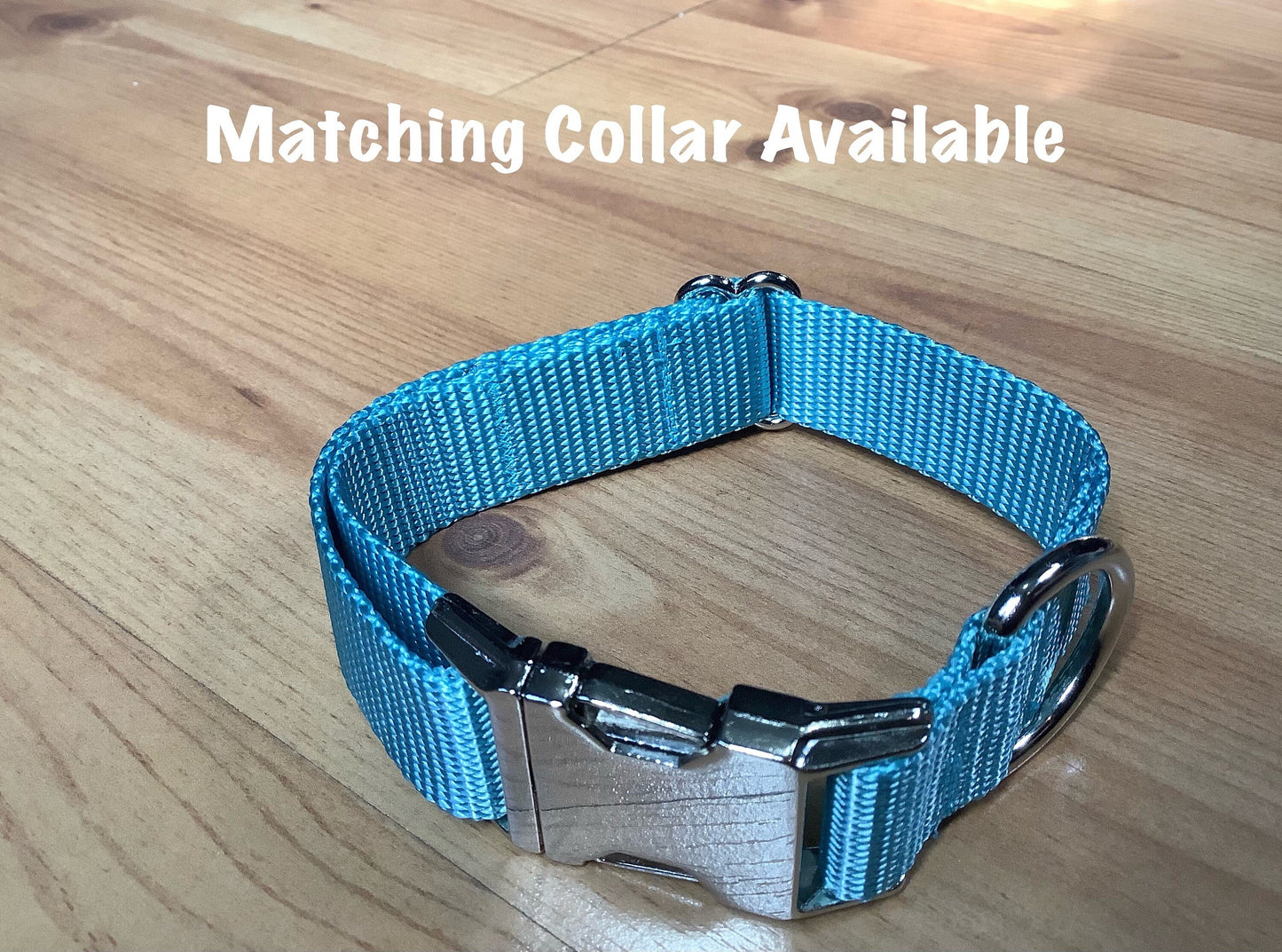 Pet Leash with D-ring and Swivel Hook