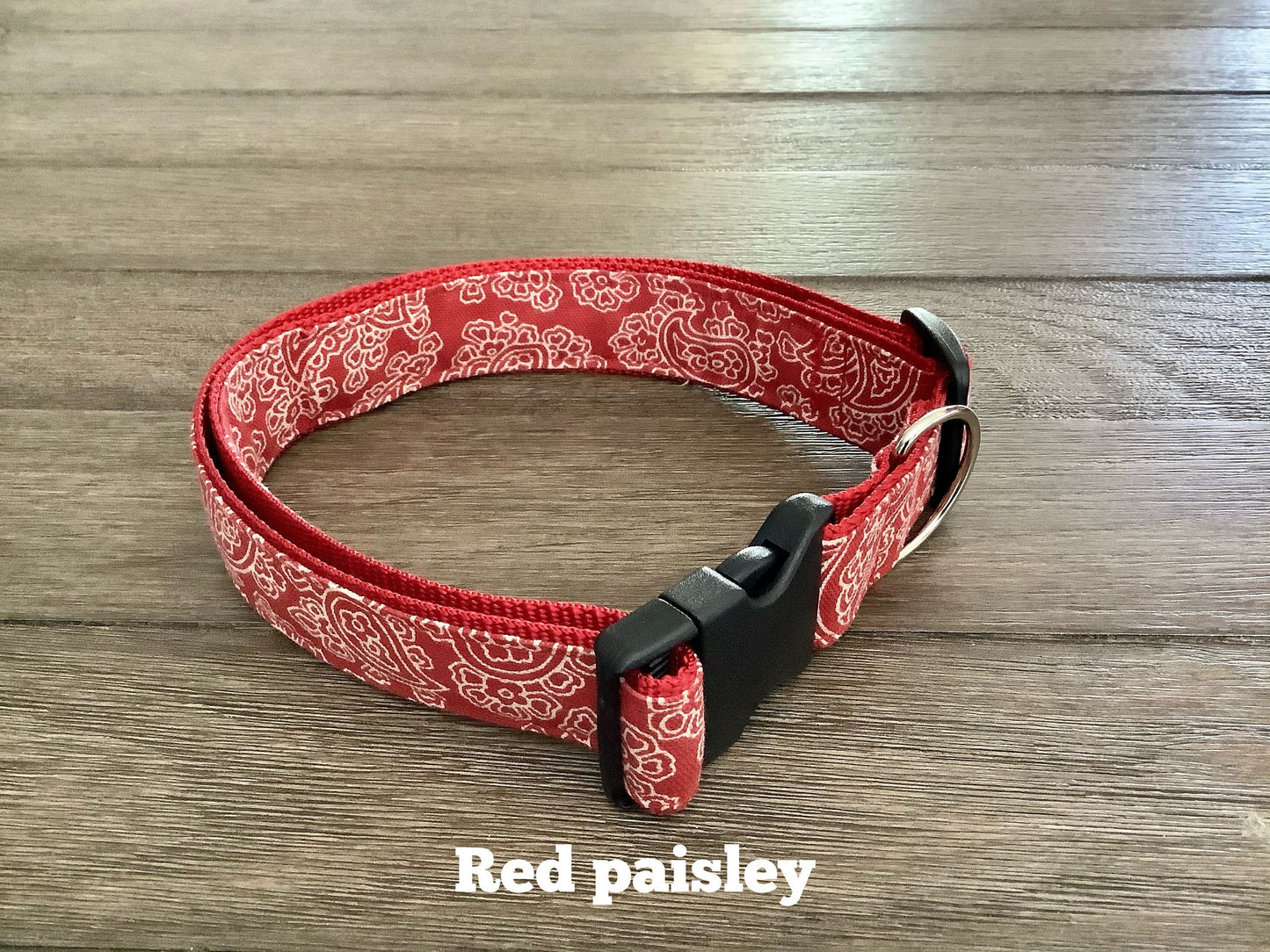 Gentile Giant Dog Collar