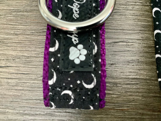 Dog Collar with Moon