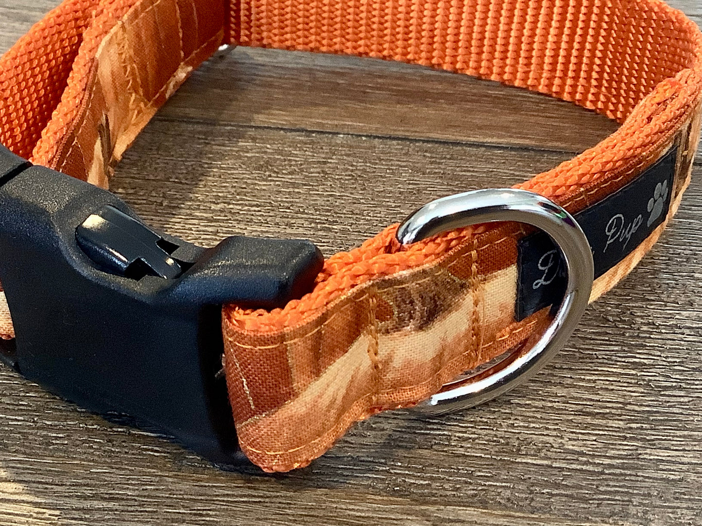 Dog Collar with Pumpkins