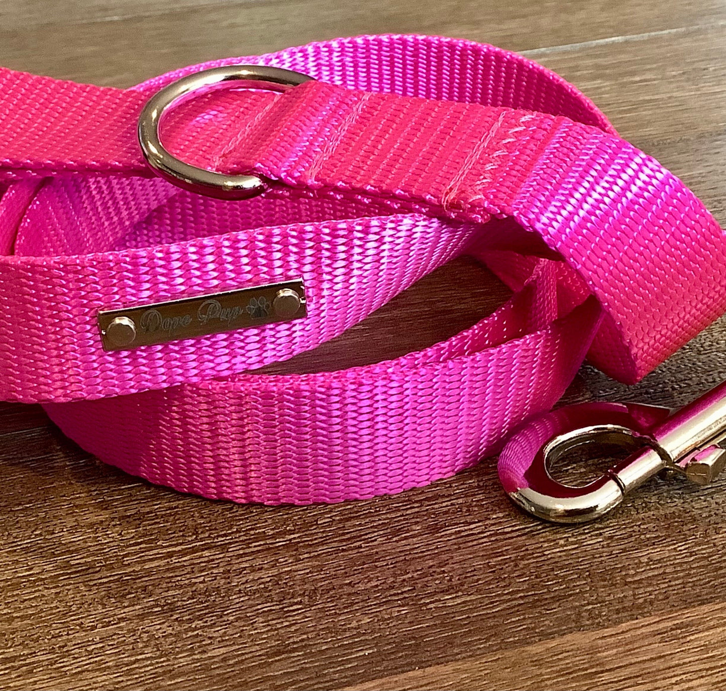 Pet Leash with D-ring and Swivel Hook