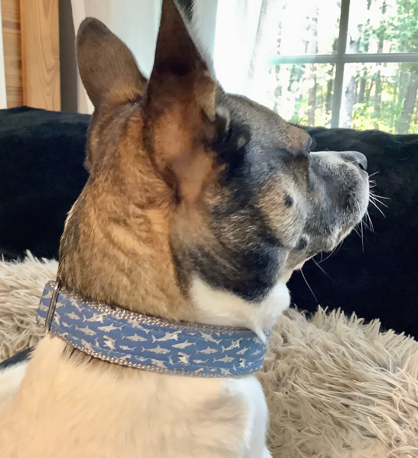 Handcrafted Adjustable Dog Collar with Sharks