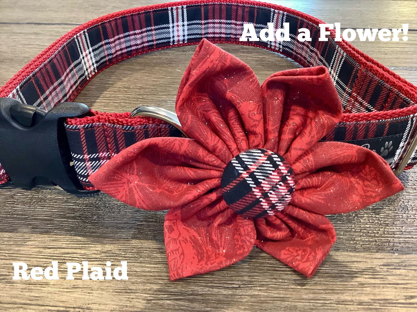Extra Large Breed Dog Collar