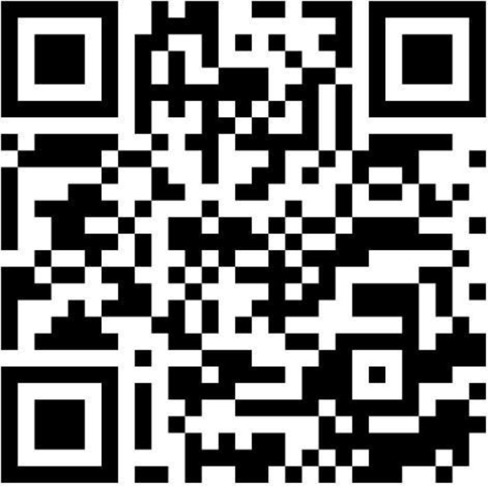 1/2" Adjustable Cat/Kitten Collars with Breakaway buckle and detachable bell