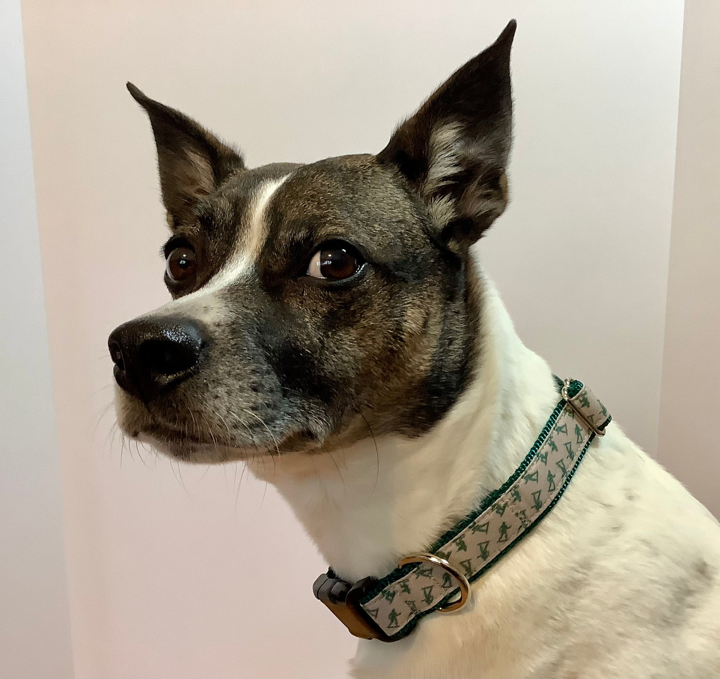Dog Collar with Vintage Classic Toy Army Soldier me
