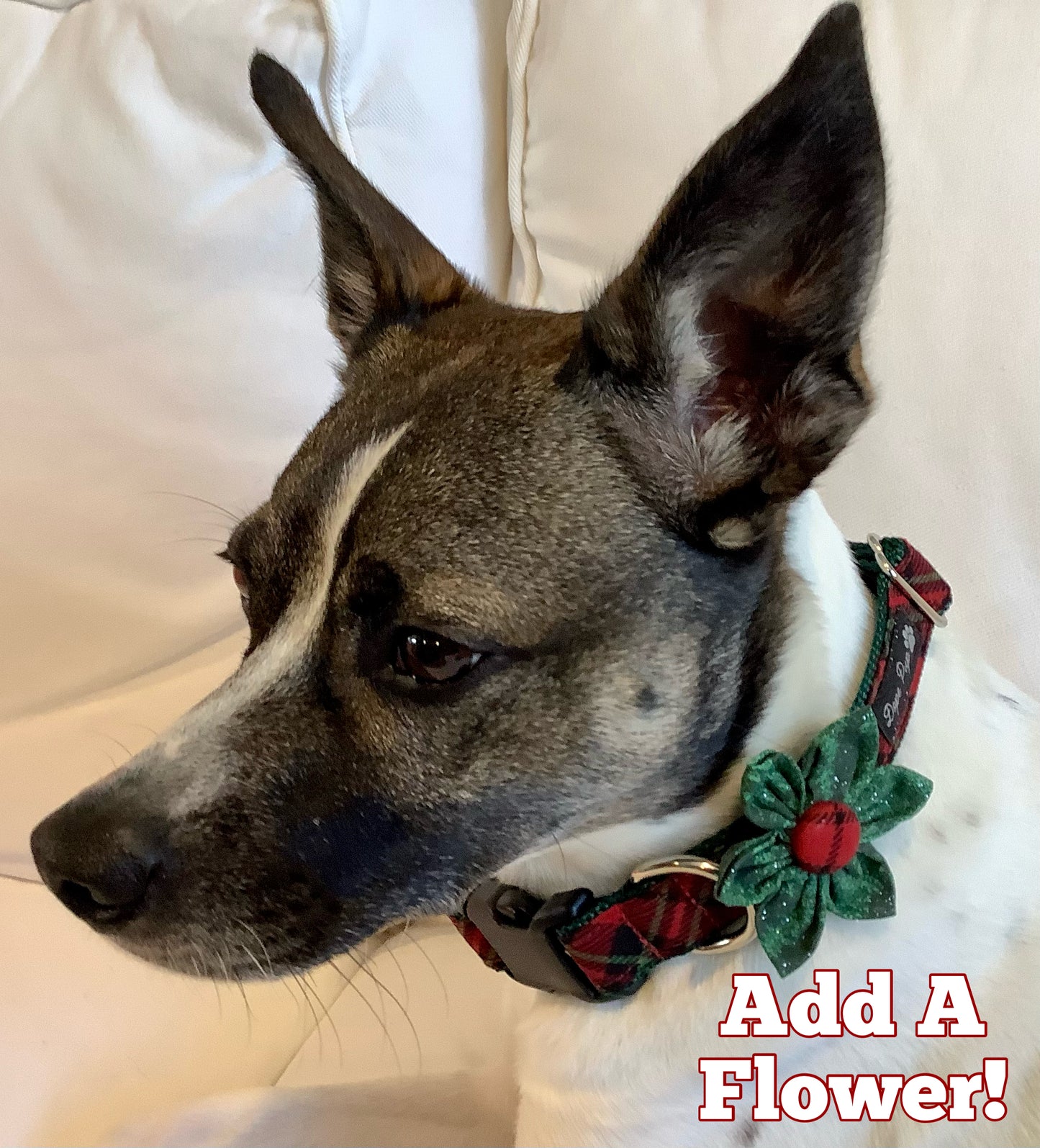 Red Plaid Adjustable pet collar for Christmas