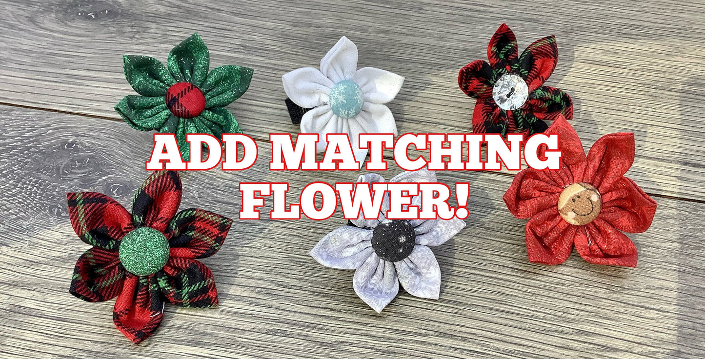 Festive Dog Collar with Holiday Bone