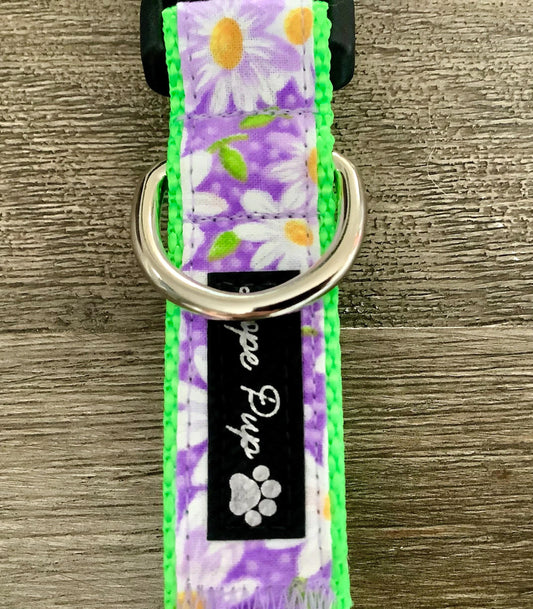 Feminine Dog Collar