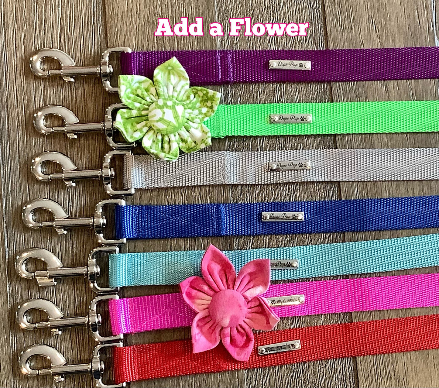 Pet Leash with D-ring and Swivel Hook