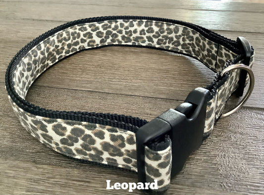 Gentile Giant Dog Collar