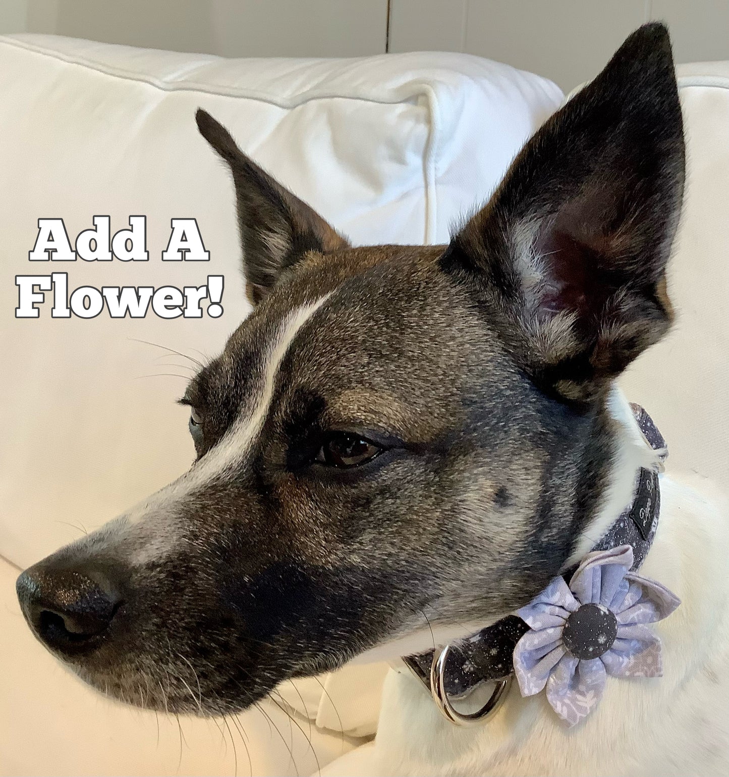 Adjustable Dog Collar with SnowFlakes for Christmas