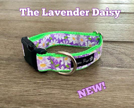 Feminine Dog Collar