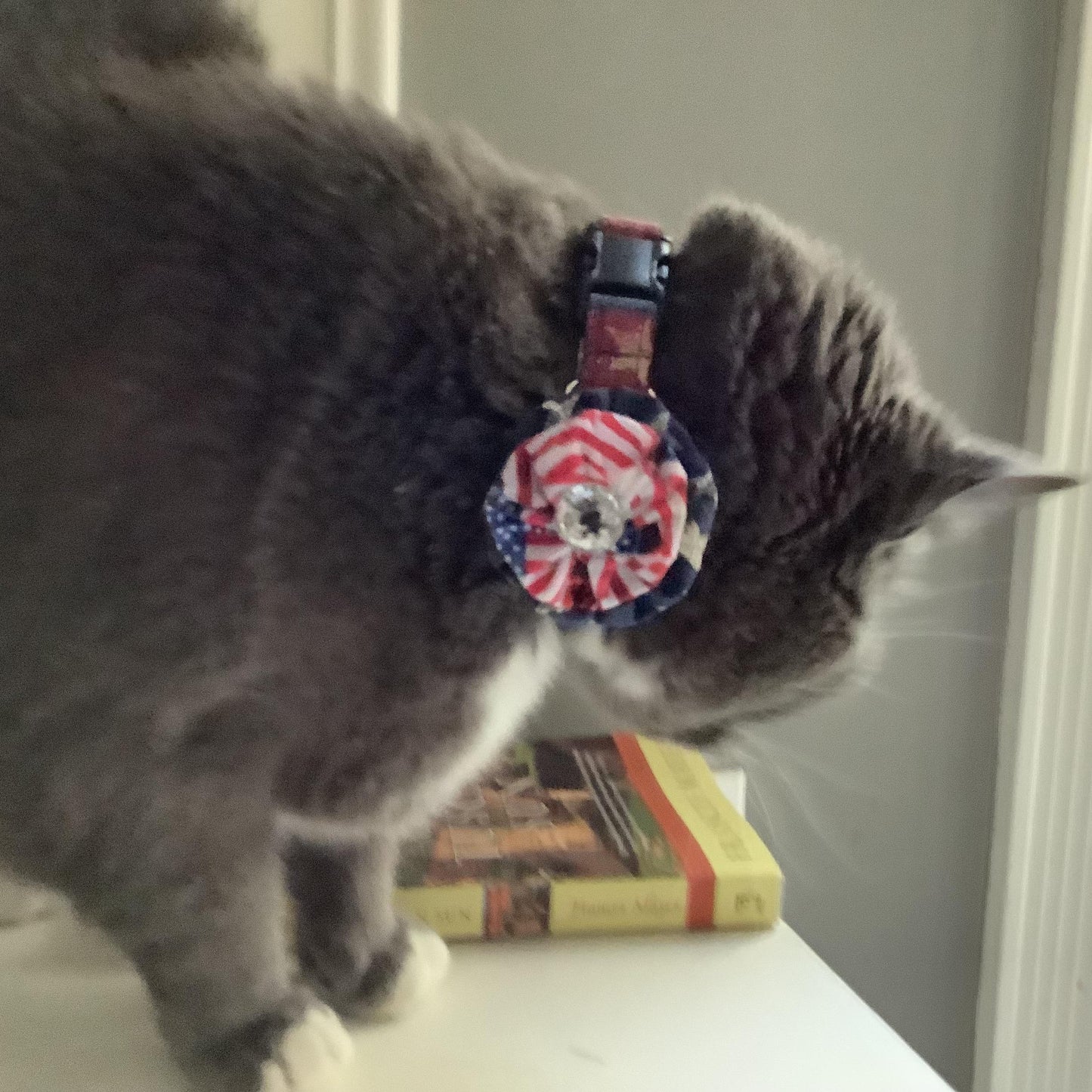 Patriotic Flag Dog Collar
