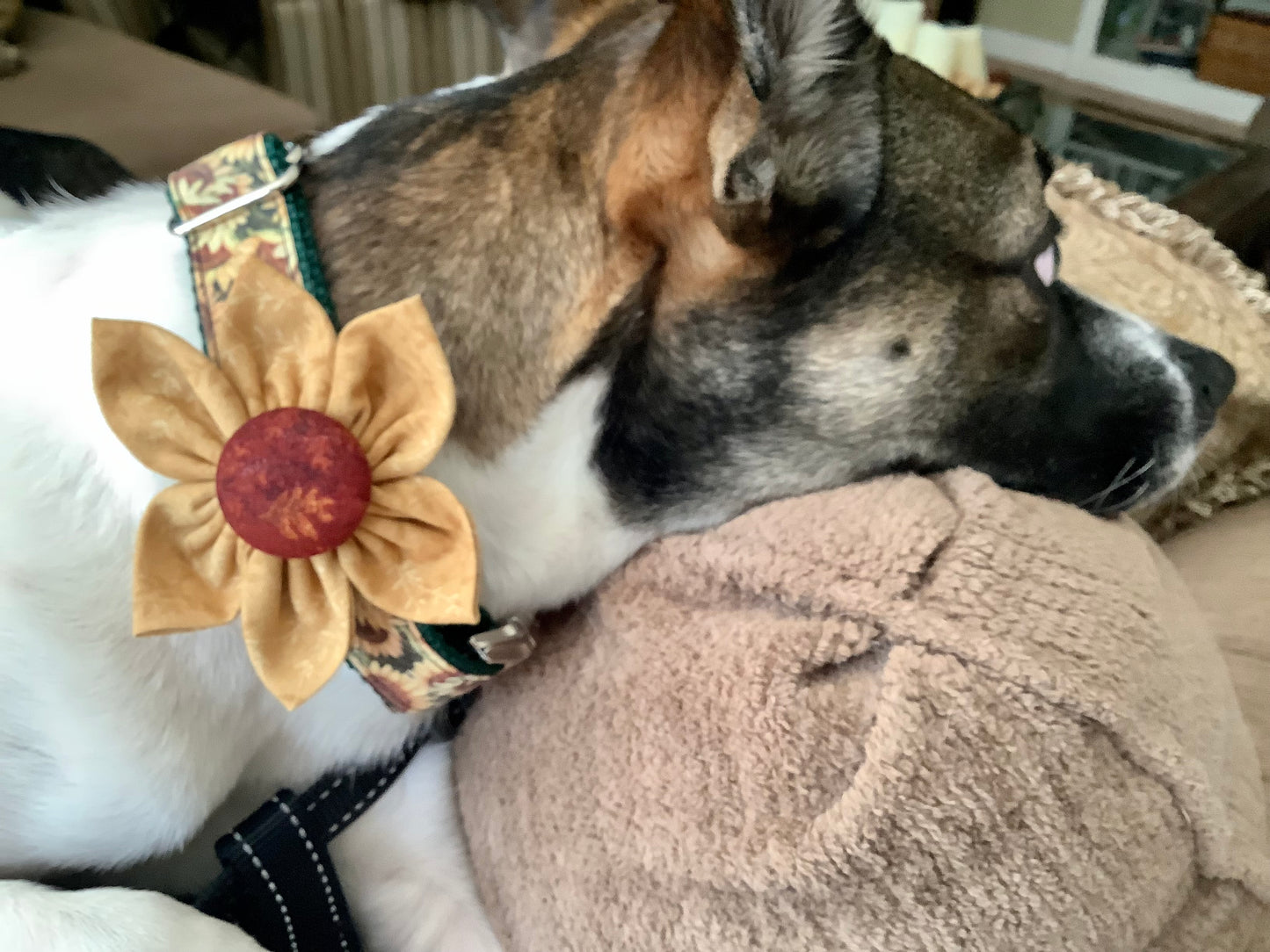 Adjustable Dog Collar with Sunflower for Fall