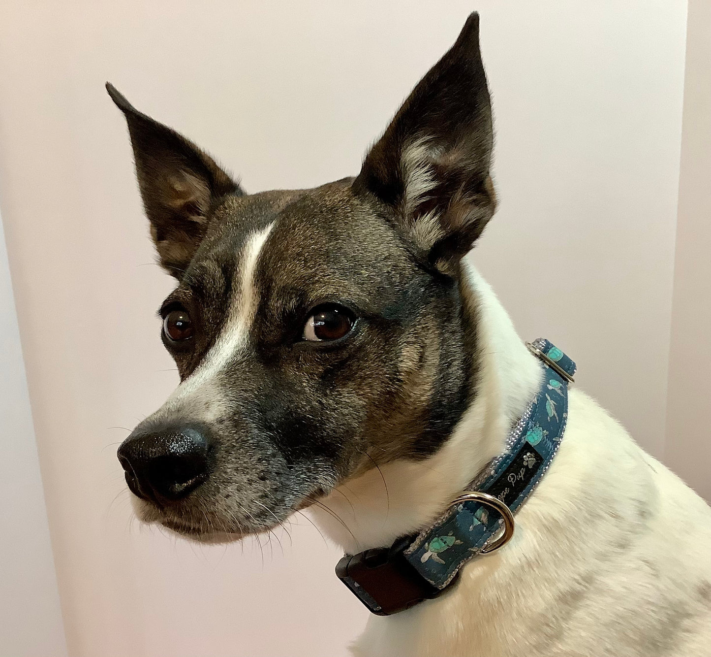 Handcrafted Adjustable Dog Collar with Sea Turtle
