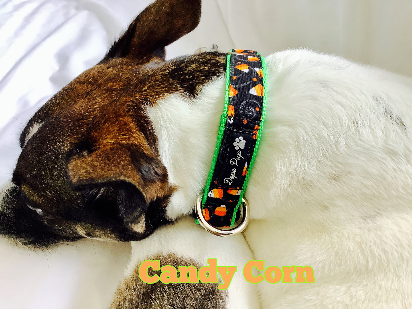 Fall Dog Collar with Candy Corn
