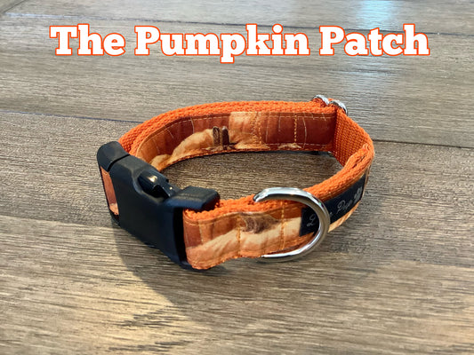 Dog Collar with Pumpkins