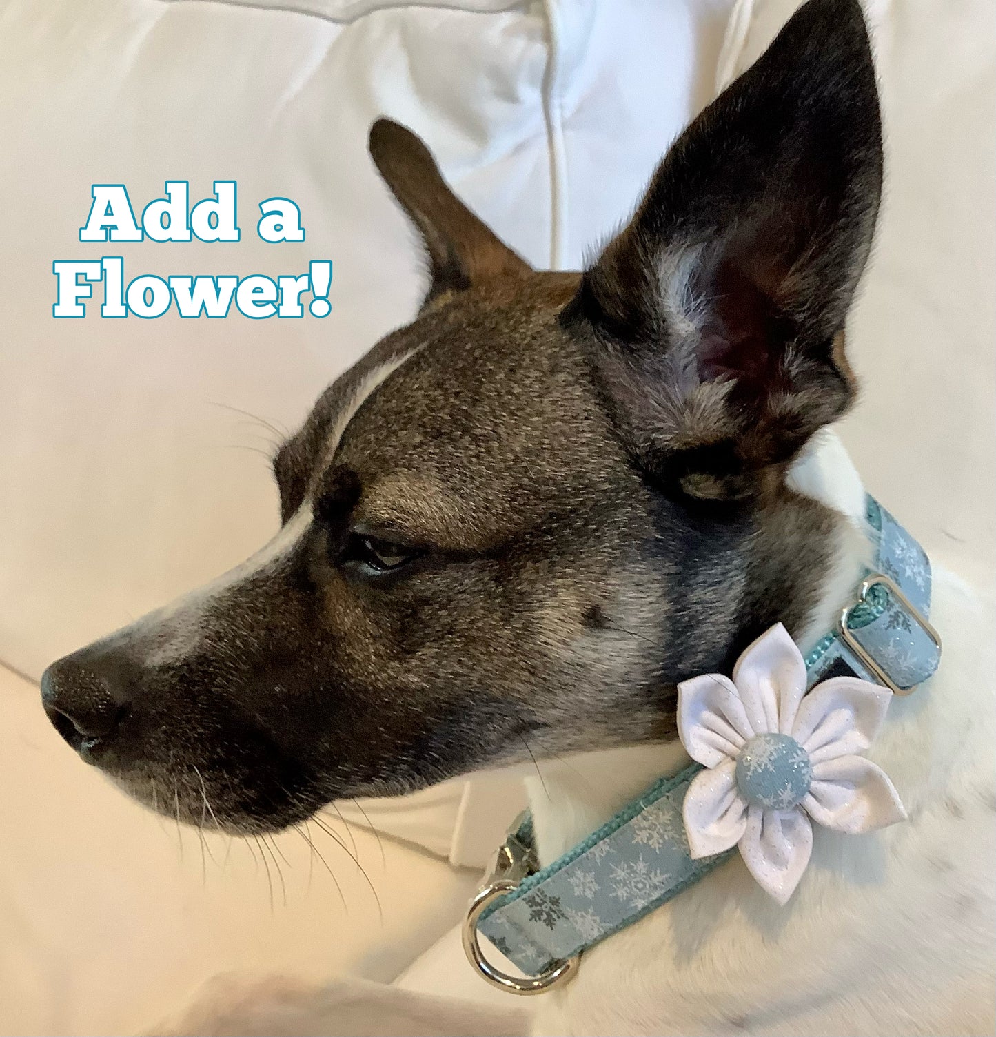 Adjustable Dog Collar with SnowFlakes for Christmas, Blue