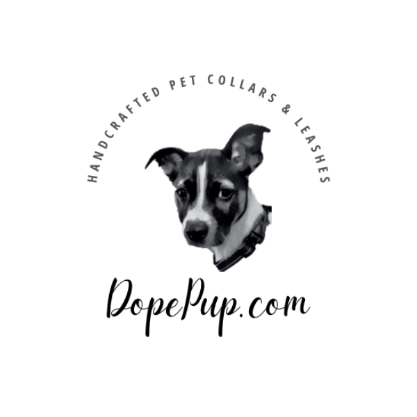 Dog Collar with Pumpkins