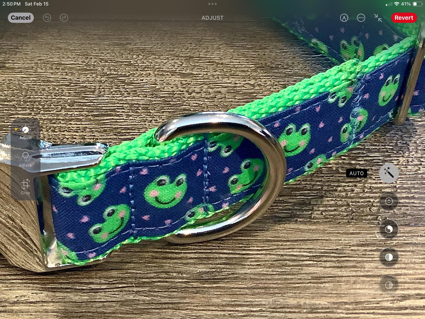 Fun Dog Collar with green frogs